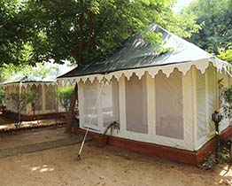 featured project